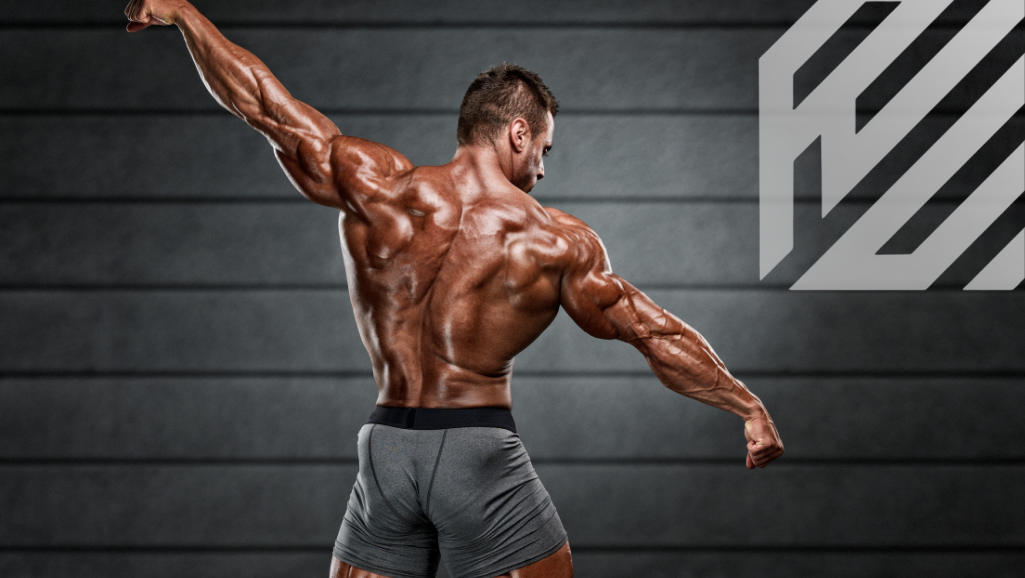 TESTOGENIC, THE NATURAL MUSCLE BUILDER!